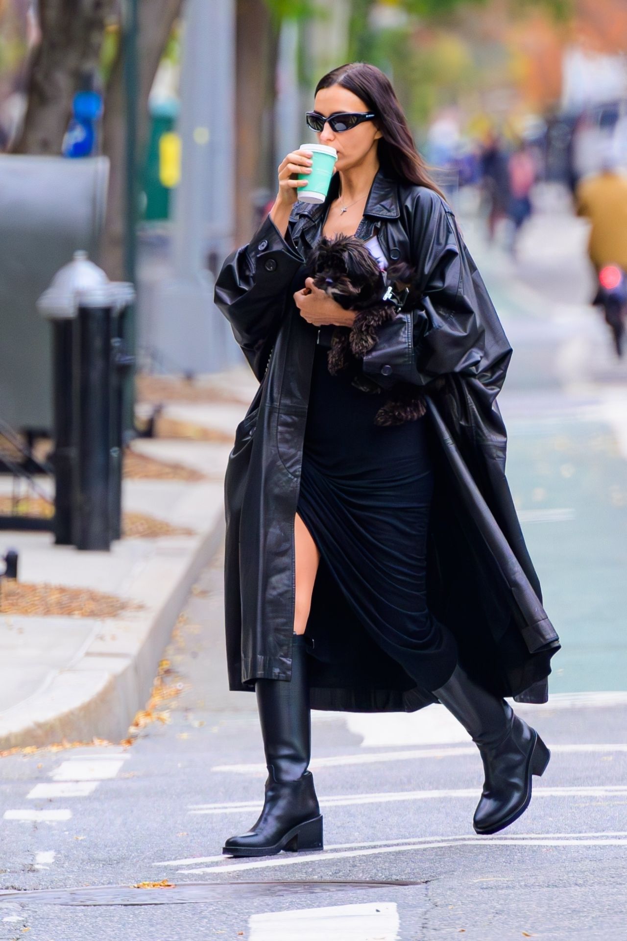 irina-shayk-and-pup-enjoy-a-nyc-stroll-11-20-2024-0.jpg (1280×1920)