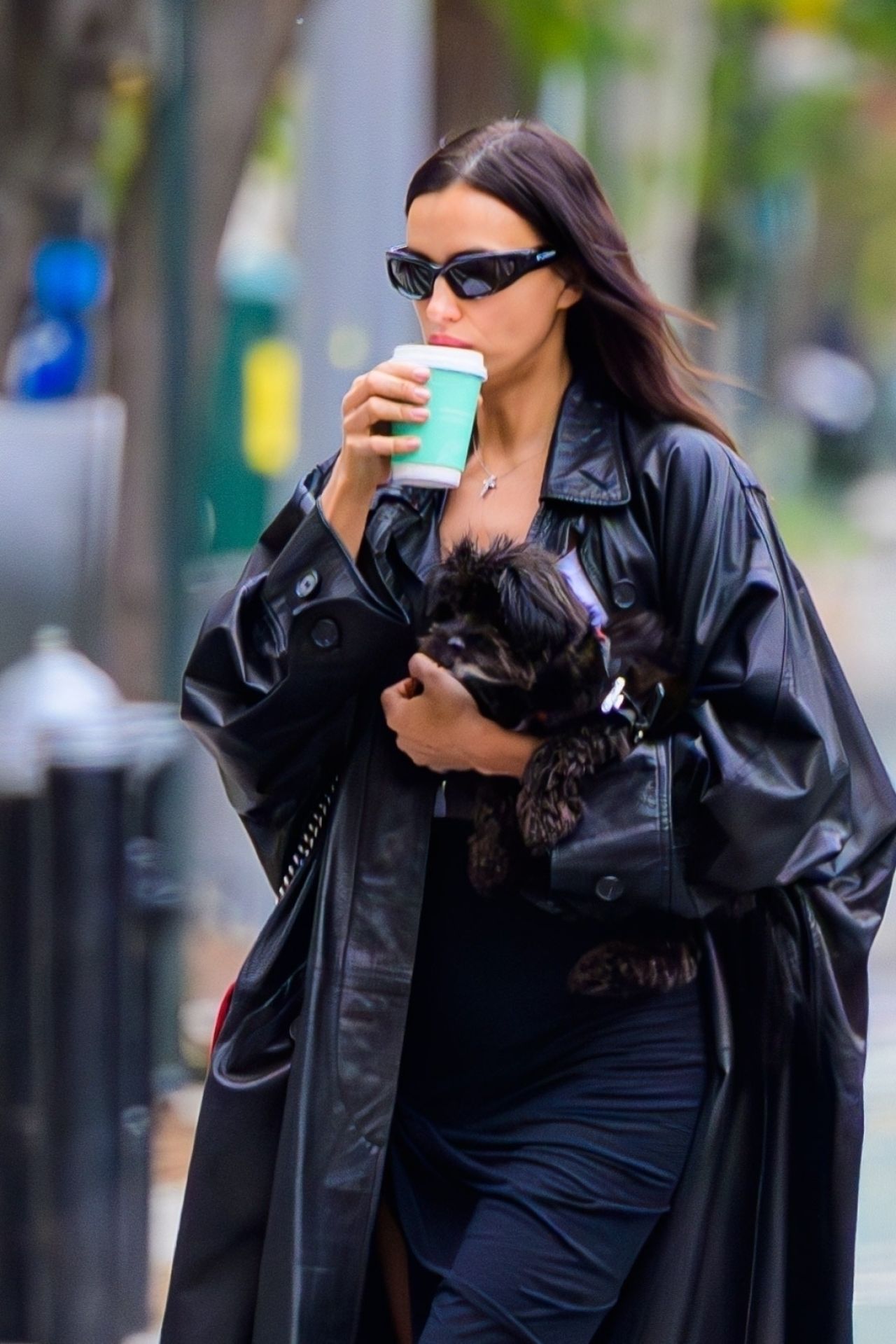 irina-shayk-and-pup-enjoy-a-nyc-stroll-11-20-2024-3.jpg (1280×1919)