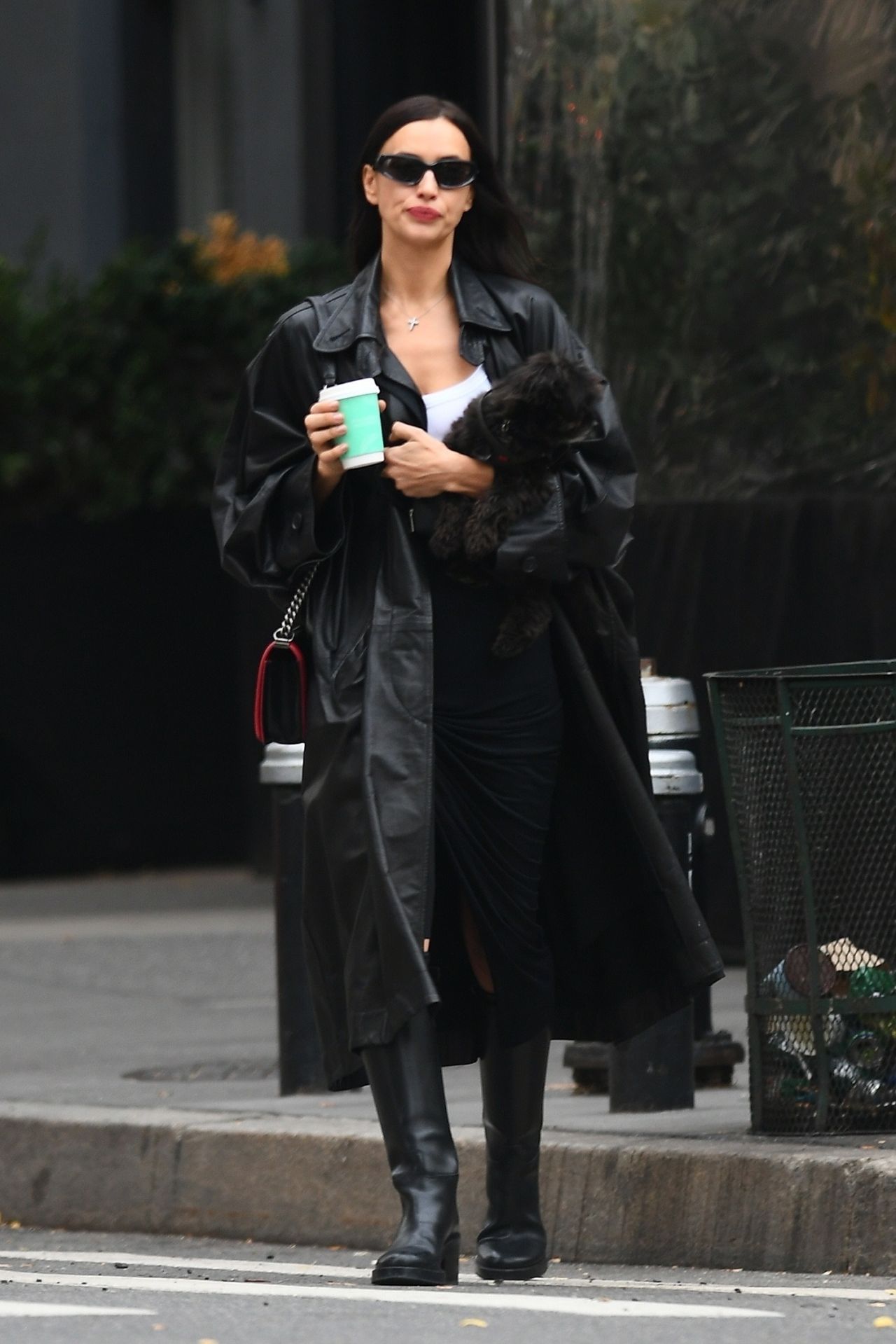 irina-shayk-and-pup-enjoy-a-nyc-stroll-11-20-2024-4.jpg (1280×1919)