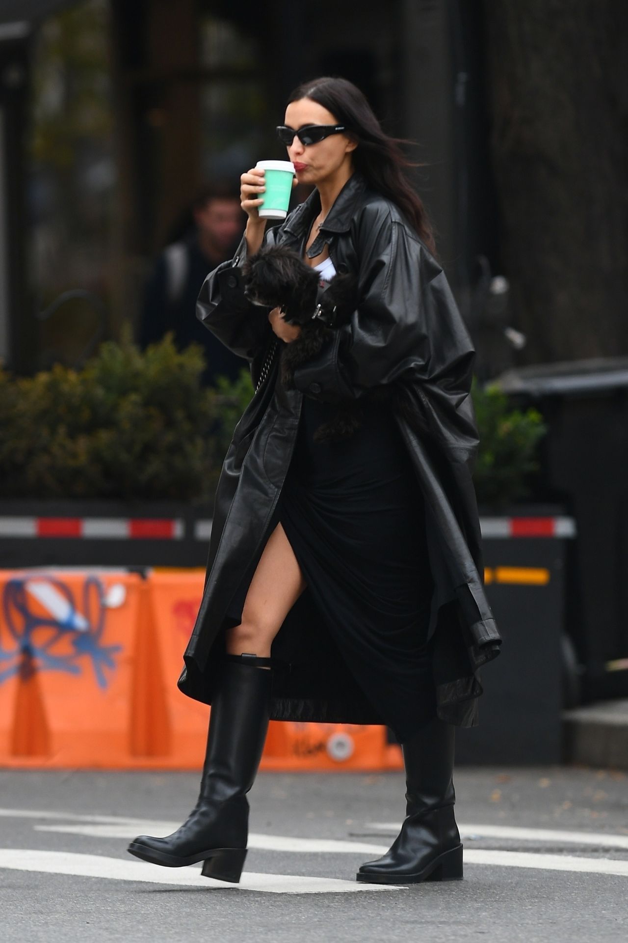 irina-shayk-and-pup-enjoy-a-nyc-stroll-11-20-2024-6.jpg (1280×1920)