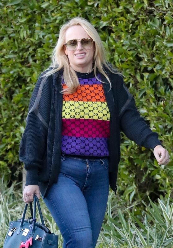 Rebel Wilson Smiles During Beverly Hills Outing [11-17-2024]