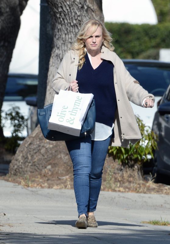 Rebel Wilson Struts Her Style after Dry Bar Visit in LA [11-19-2024]