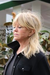 Goldie Hawn Spotted Holiday Shopping at Brentwood Country Mart - 12.11.2024