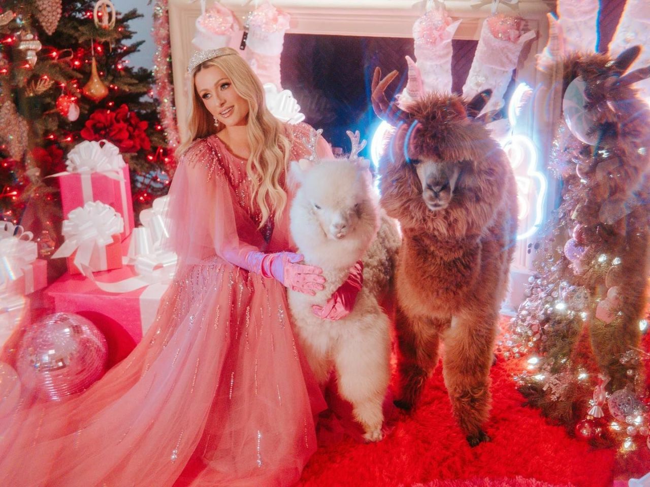 paris-hilton-s-festive-mansion-alpacas-art-and-advocacy-4.jpg (1280×960)