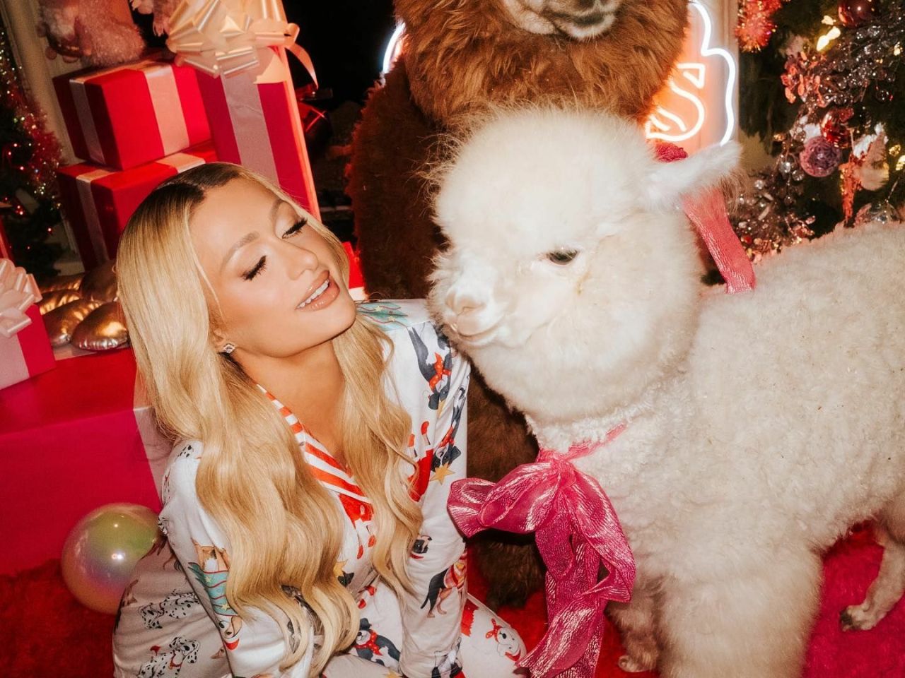 paris-hilton-s-festive-mansion-alpacas-art-and-advocacy-7.jpg (1280×960)