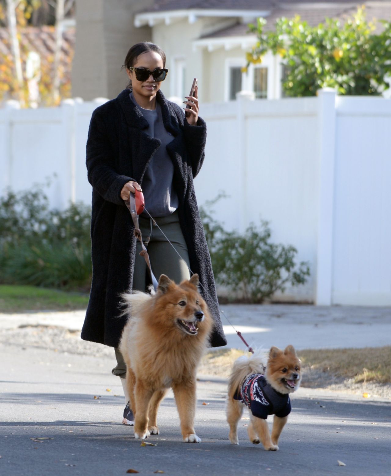 Rachel Lindsay Spotted on Morning Walk with Dogs in Los Angeles 12.16. ...