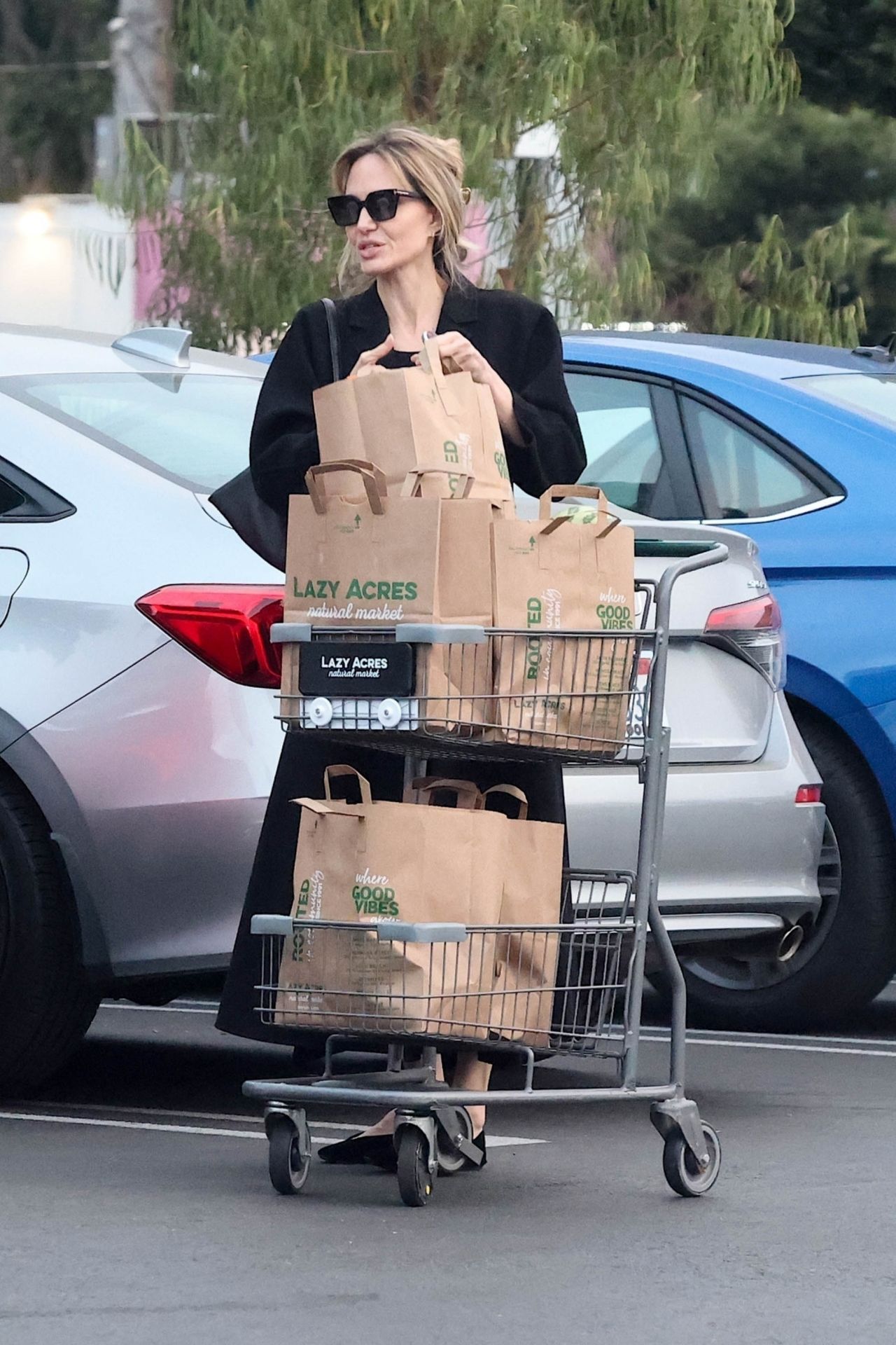 Angelina Jolie's $5K Grocery Run: Hollywood Glamour Meets Everyday ...