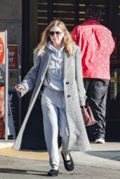 Ellen Pompeo Spotted at Gelson s Market Picking Up Pet Supplies 01 15 2025