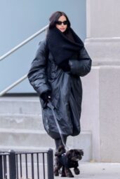 Irina Shayk s Stylish NYC Stroll - 01 15 2025