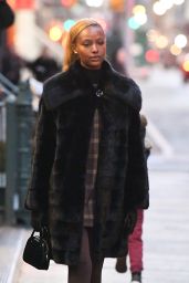 Justine Skye Spotted Out in New York City 01.22.2025
