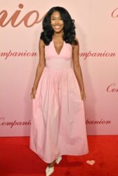Sydney Winbush Attends The Companion Premiere 01 27 2025