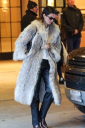 Kendall Jenner Dines in Fur Jacket at Little Nell s 02 06 2025