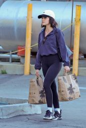 Lucy Hale Spotted Grocery Shopping - 02.26.2025