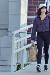 Lucy Hale Spotted Grocery Shopping - 02.26.2025