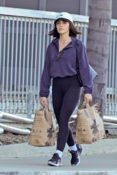 Lucy Hale Spotted Grocery Shopping - 02.26.2025