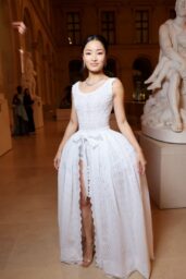 Anna Sawai’s Dior Couture Look Steals the Show at Louvre Grand Fashion Dinner