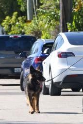 Gisele Bundchen’s Quiet Miami Walk with Baby, Dogs - 03.18.2025