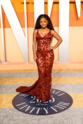 Halle Bailey’s Red Lace Elegance at Vanity Fair Oscars 2025 Party