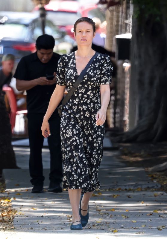Brie Larson Lunch Outing Los Feliz May 2025