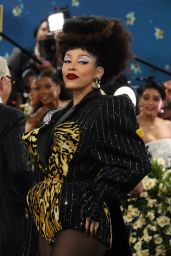 Doja Cat Elevates Met Gala 2025 Style Limits