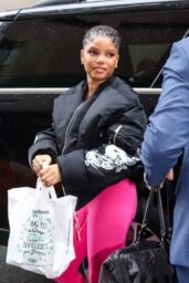 Halle Bailey Arrives in Style Before Met Gala 2025