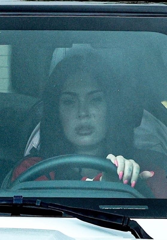 Megan Fox & MGK’s Low-Key Grocery Run at Erewhon Market