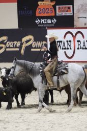 Bella Hadid Practices for Horse Cutting Championship
