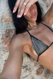 Dua Lipa Debuts Crystal Mesh & Lava Bikini in Summer Snapshot
