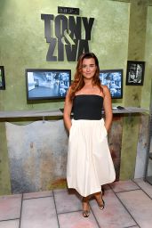 Michael Weatherly & Cote de Pablo Reunite at Comic-Con 2025