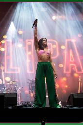 Dua Lipa’s Ultimate Fan Guide Unveils Her Journey