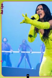 Dua Lipa’s Ultimate Fan Guide Unveils Her Journey