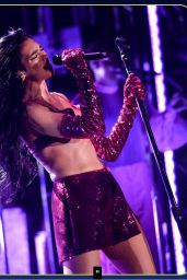 Dua Lipa’s Ultimate Fan Guide Unveils Her Journey