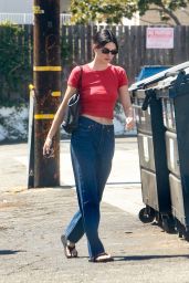 Kendall Jenner Fall 2025 Indigo Denigo Trend