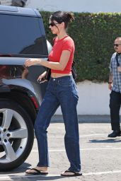 Kendall Jenner Fall 2025 Indigo Denigo Trend