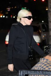 Lady Gaga and Michael Polansky Spotted in NYC