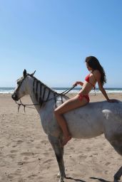 Saskia Herd Unveils Beach Photoshoot Equestrian Fantasy