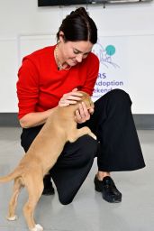 Shailene Woodley Selects Tonal Casual for Adoption Event