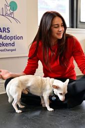 Shailene Woodley Selects Tonal Casual for Adoption Event