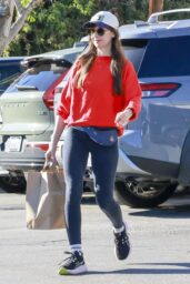 Alison Brie on Grocery Run at Gelsons LA March 2026