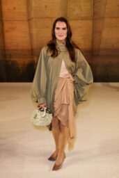 Brooke Shields at Chloe FW 2026 Show in Paris - photo 1 of 6