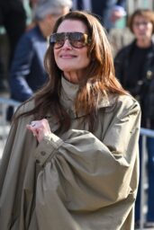 Brooke Shields at Chloe FW 2026 Show in Paris - photo 2 of 6